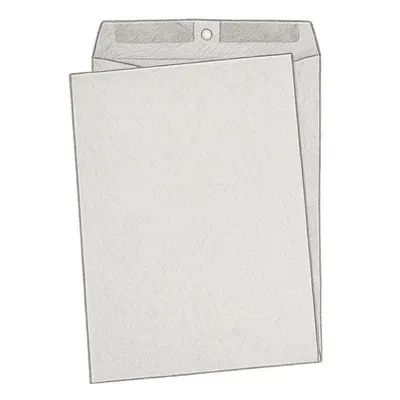 Amazon Basics Clasp Kraft Envelopes (Pack of 100, 9" x 12")