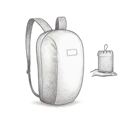 Decathlon Forclaz Foldable Backpack