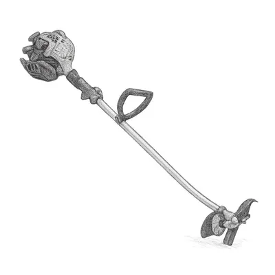 ECHO 21.2 cc Gas 2-Stroke Lawn Edger (9")