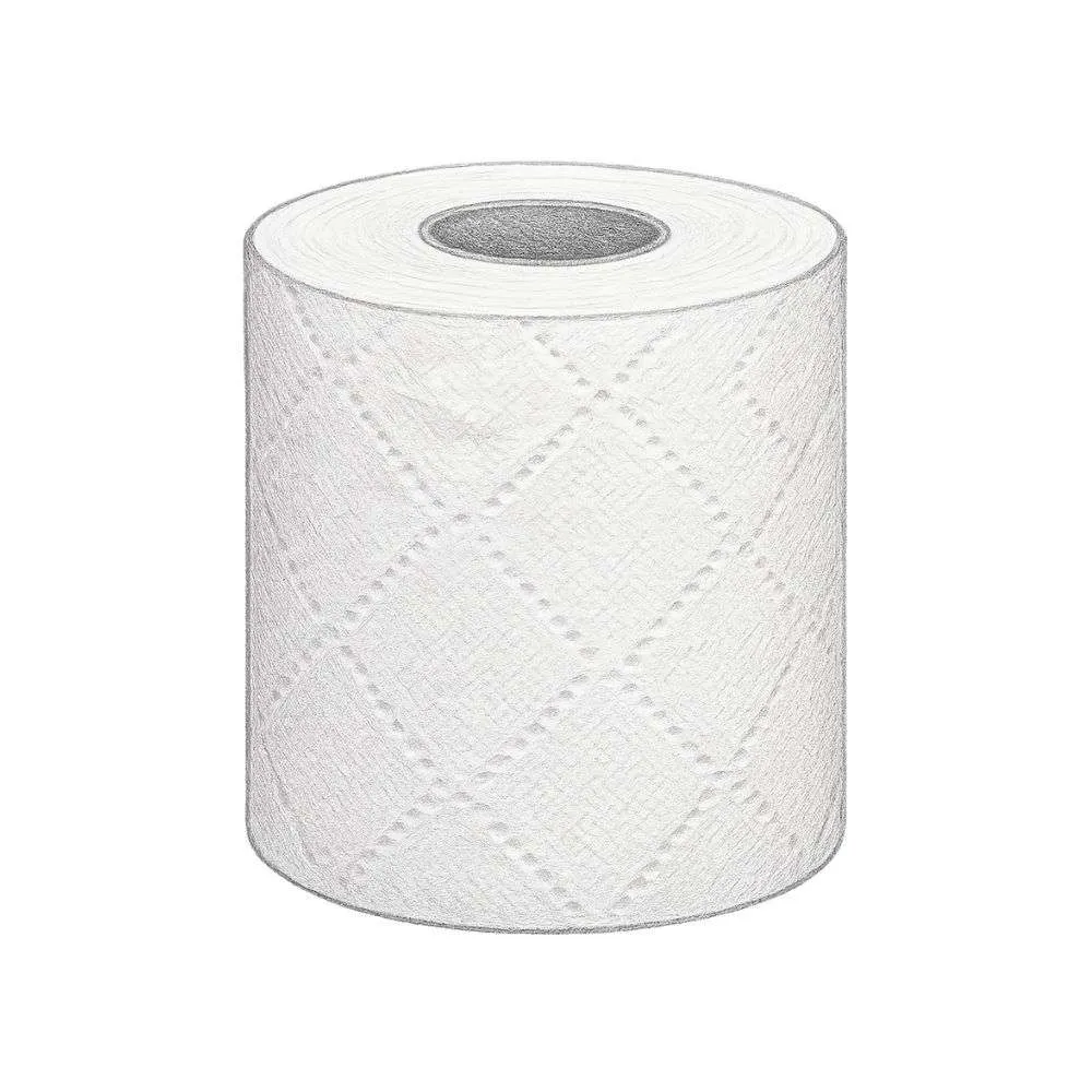 Kirkland Signature Bath Tissue - 2 Ply (Pack of 30)