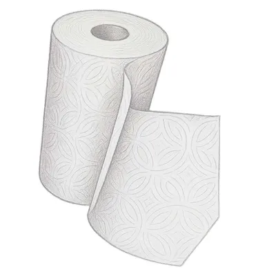 Kirkland Signature Paper Towels - 2 Ply (Pack of 12)