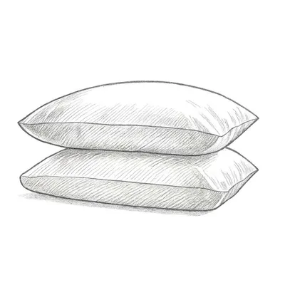 Quince Classic Organic Percale Standard Pillowcases (1 Set of 2 Pieces)
