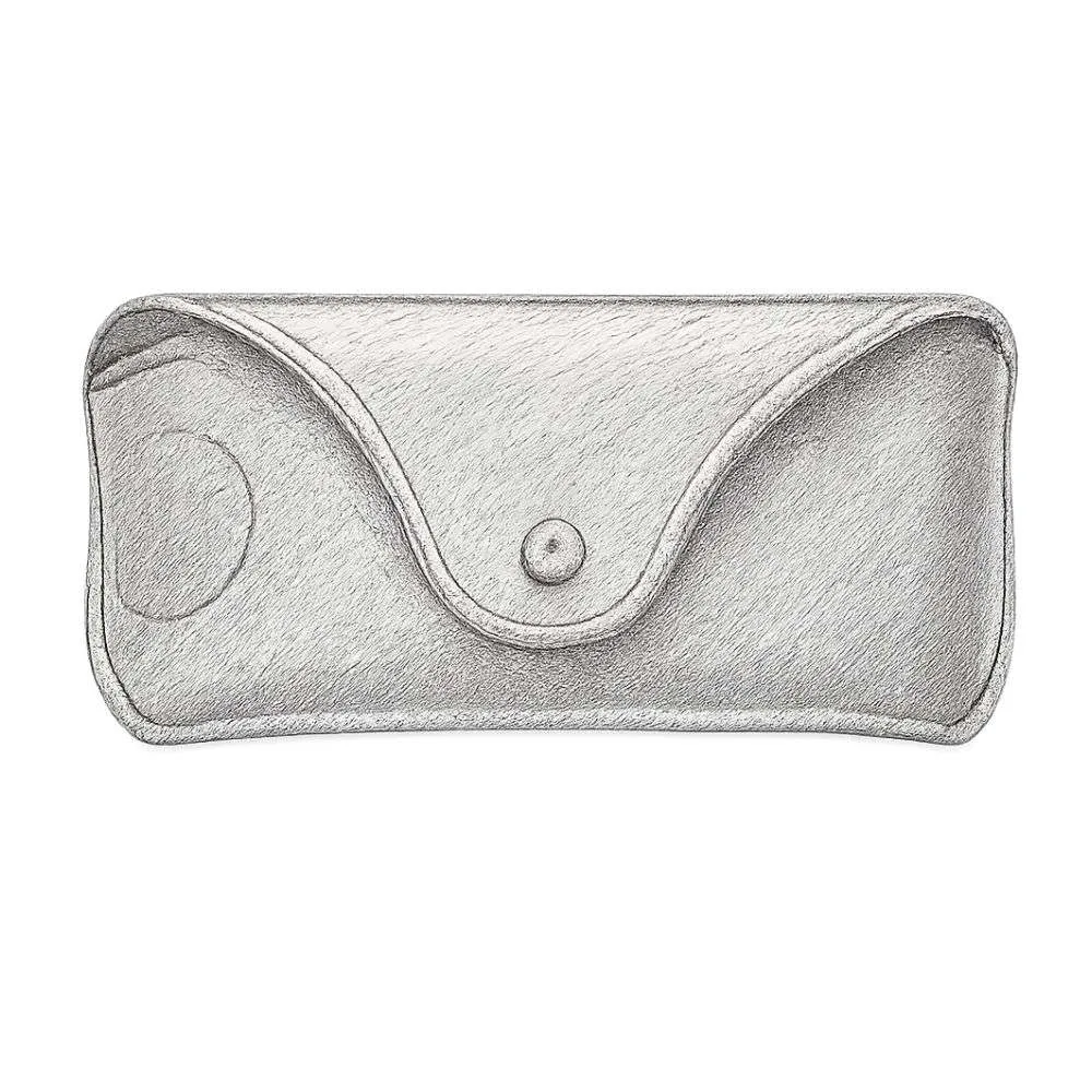 Ray-Ban Special Edition Case