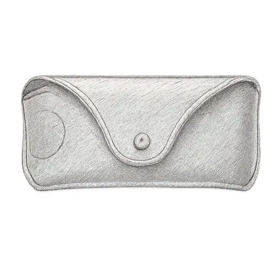 Ray-Ban Special Edition Case