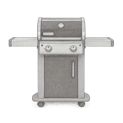 Weber Spirit E-210 Gas Grill